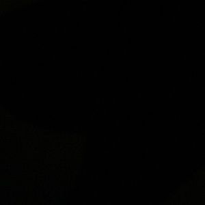 Meet your Posher, Abigail